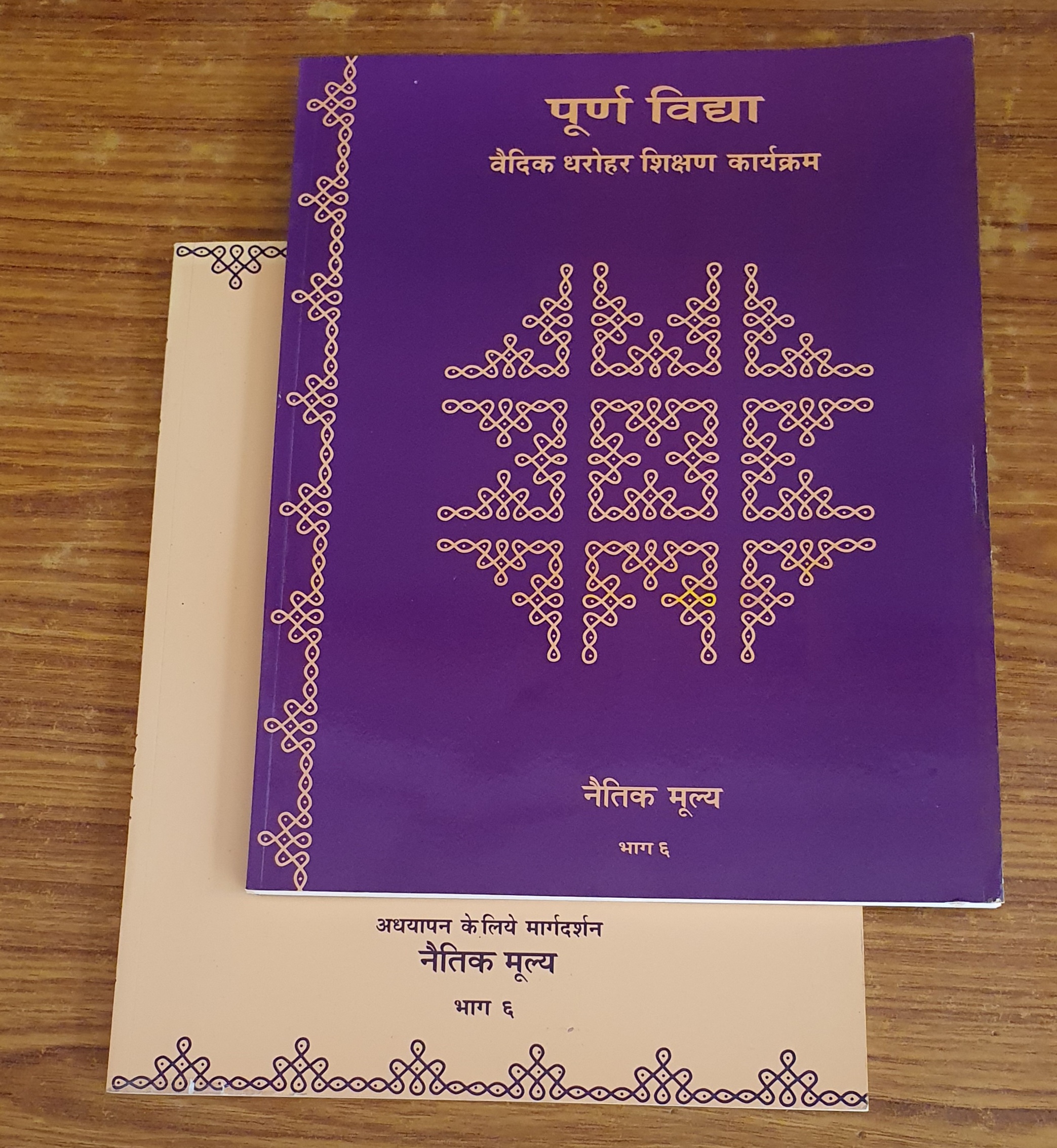 6 Values  (Text book and Guideline) - Hindi<br/><span>Part 06</span>